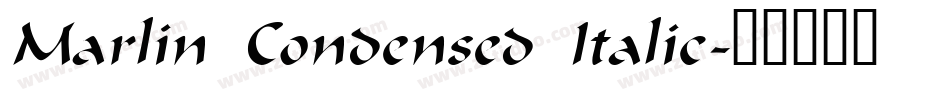 Marlin Condensed Italic字体转换